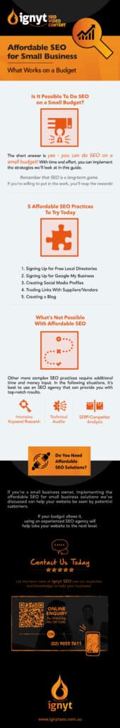 Affordable SEO for Small Businesses - What Works on a Budget Infographic
